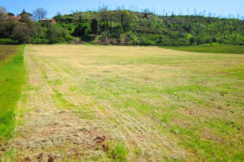 Terreno Commerciale vicino ad Aurelia in provincia di Roma